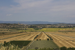 L'étang (asséché !) de Montady