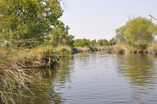 Tra la kanaloj de Okavango-Delto