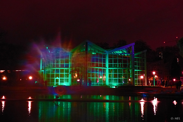 Winterlichter: Palmenhaus und See