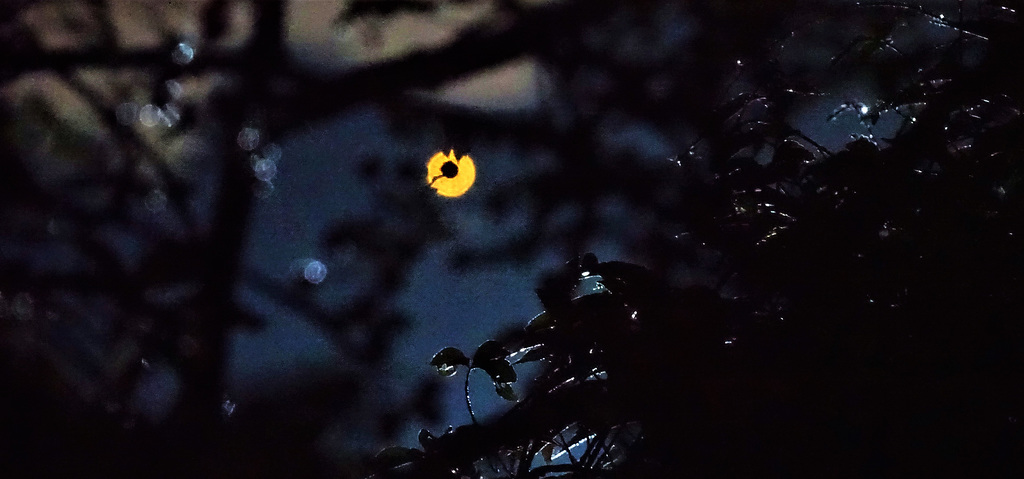 In the middle of the night....woken by the rain