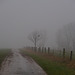 Nebel bei Elbingerode V