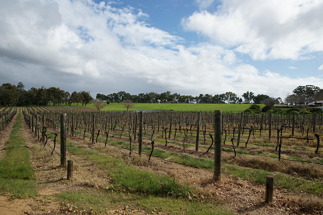 Sandalford Winery