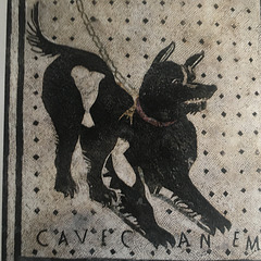 CAVE CANEM.