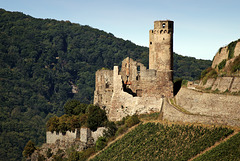 Rüdesheim - Burg Ehrenfels (03)