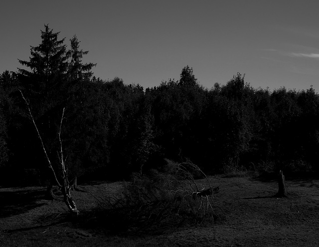 Wandern Hasselfelde - Benneckenstein