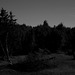 Wandern Hasselfelde - Benneckenstein