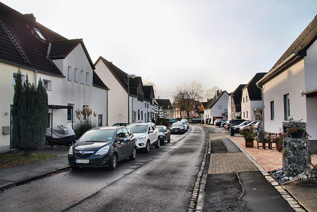 Heidestraße (Siedlung Scholven, Gelsenkirchen-Scholven) / 24.12.2022