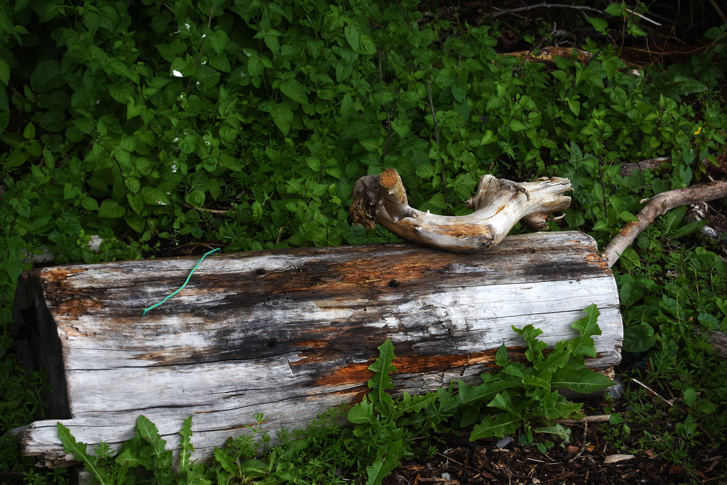 Improvised bench at Banavie