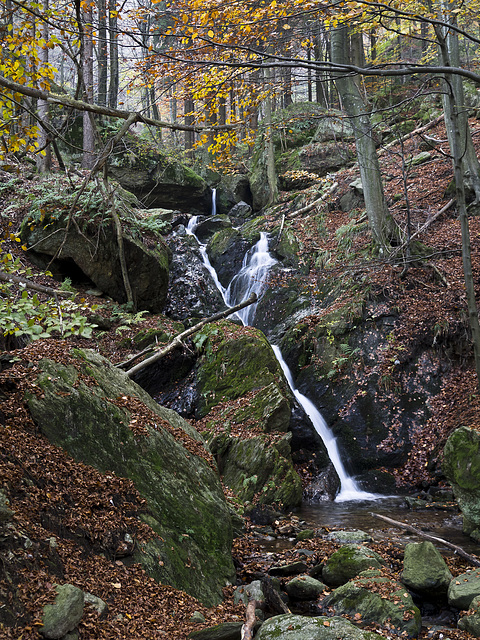 Small waterfalls in the forest