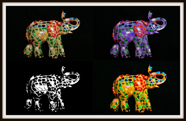 Elephants on parade (Explored)