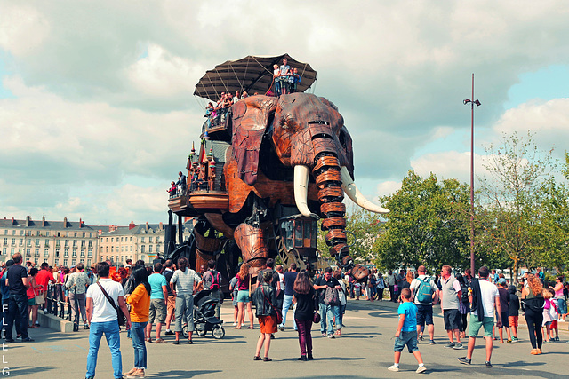 île de Nantes, les machines, l'éléphant sort tous les jours