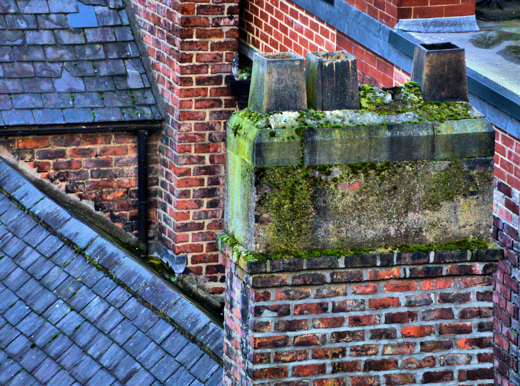 Rooftops and Chimney Pots