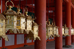 Sanctuaire Kasuga-taisha (春日大社) (9)