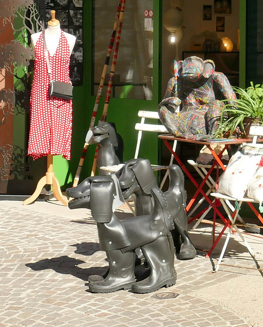 Il n'y a pas que le chat à être botté !