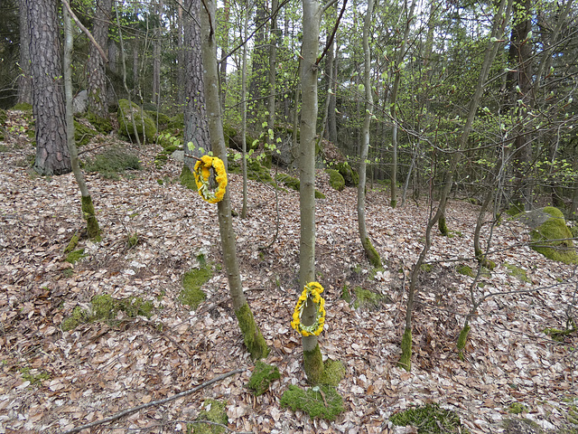 Frühling am Schwarzerberg