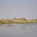 Tra la kanaloj de Okavango-Delto