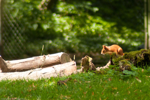 Tierpark Hellabrunn