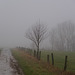 Nebel bei Elbingerode VI