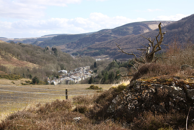 Blaenrhondda