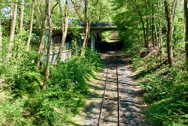 bahnstrecke-00645-co-08-05-16