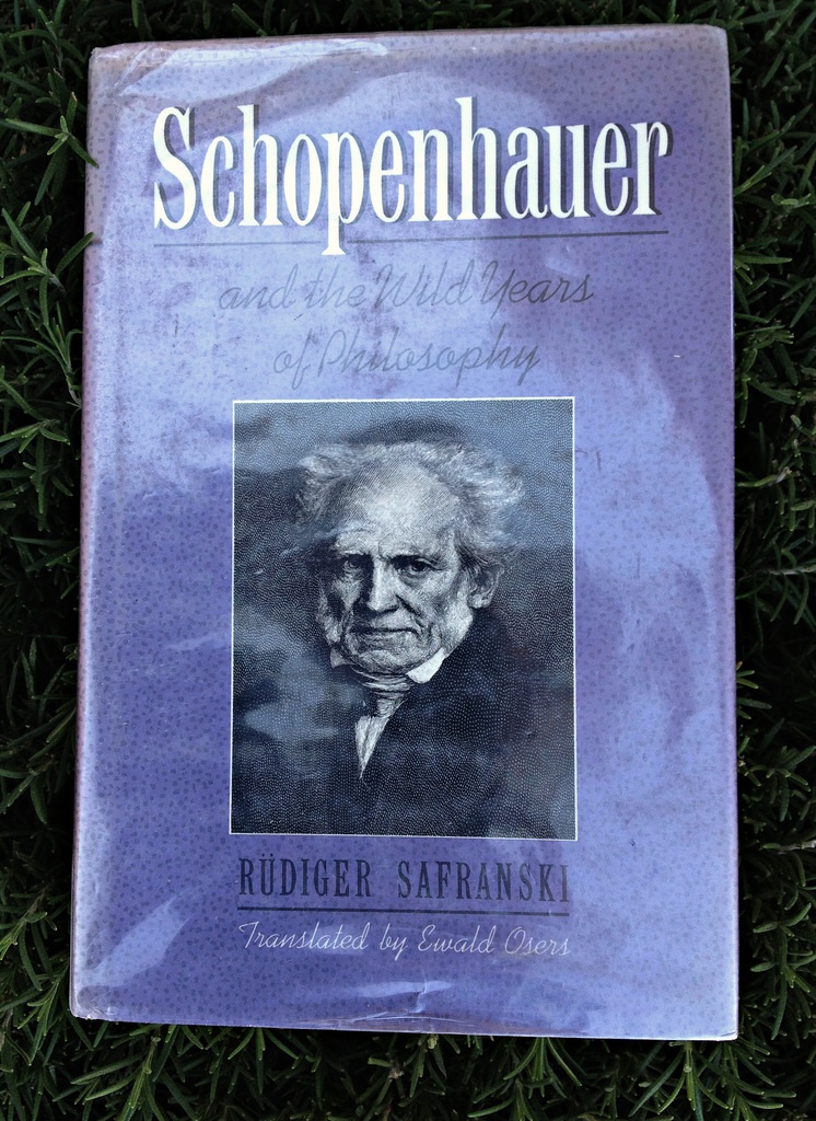 Schopenhauer and the wild years of philosophy