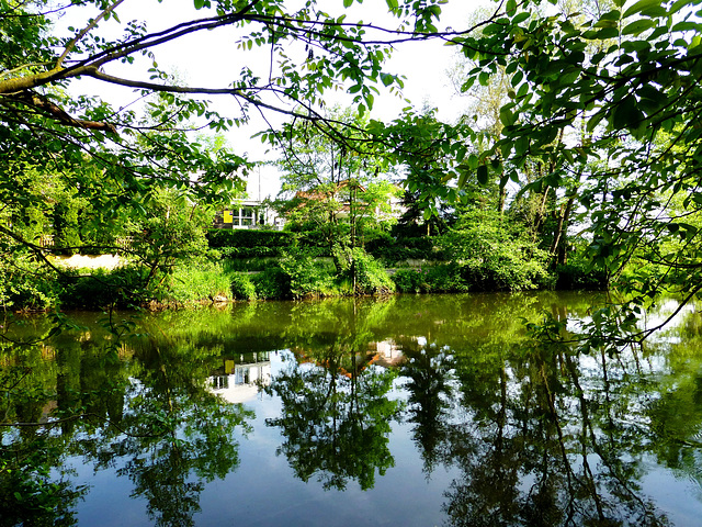 Spiegelung auf der Ahr bei Walporzheim