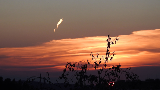 Abendhimmel mit PiPs Abendhimmel mit PiPs