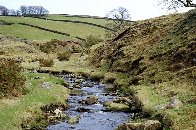 Bray Clough - from the sleepers bridge