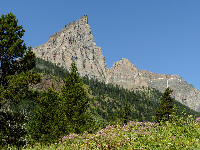 A view from Red Rock Canyon, Waterton