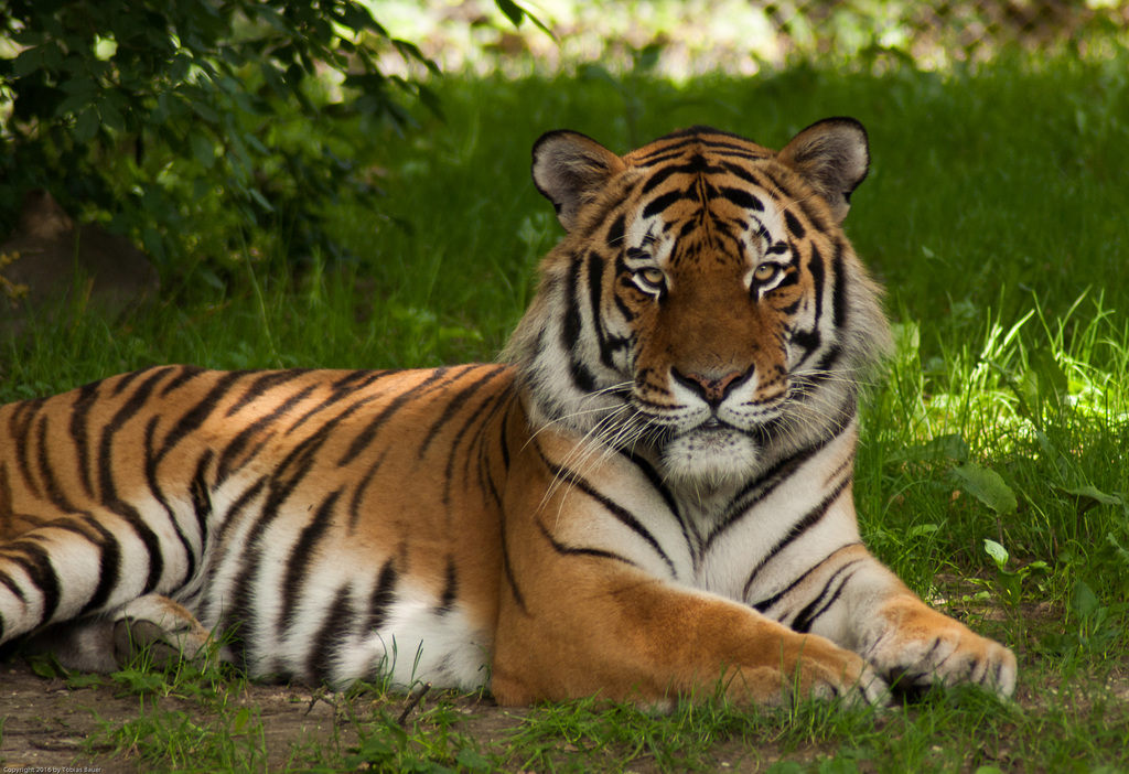 Tierpark Hellabrunn