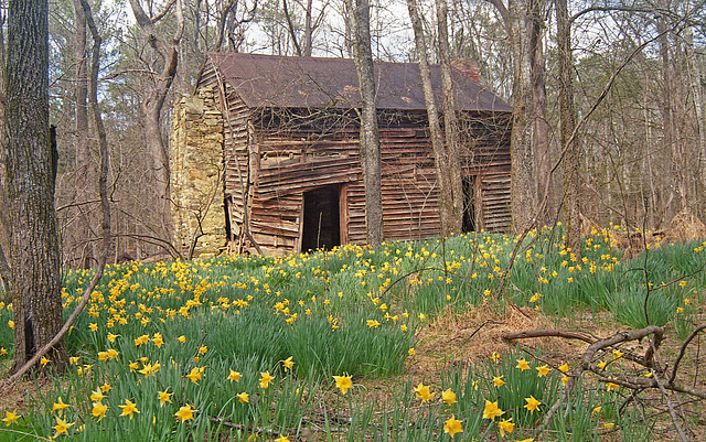 Along the Trail