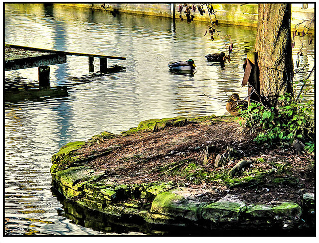 Wasserschlossgraben