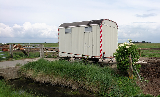 Bauwagen auf Hallig Hooge Bauwagen auf Hallig Hooge