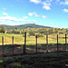 Fence With a View