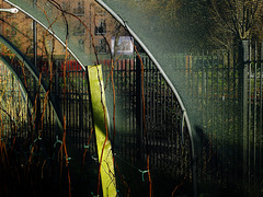 Poly Tunnel.Byker City Farm