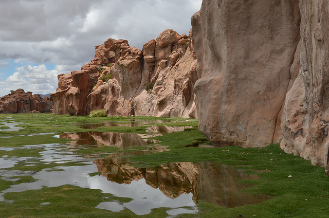 Bolivia, Catal River Valley, Reflection of the Rocks