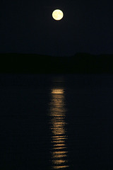 moonlit bay