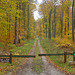 Forêt domaniale de Retz