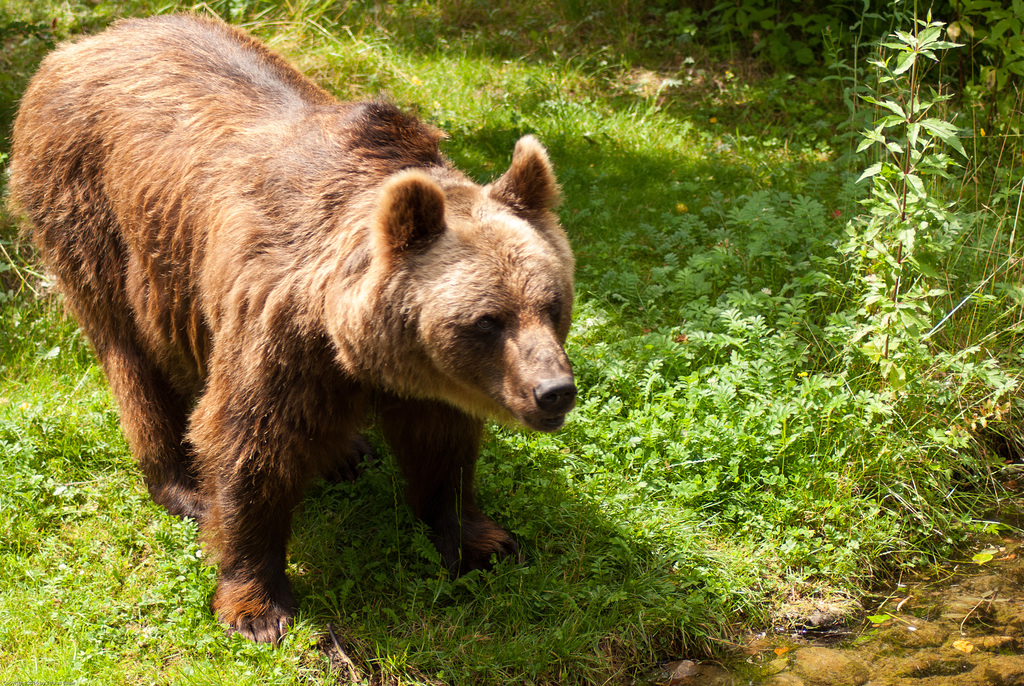 Tierpark Hellabrunn