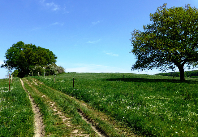 Auf dem Wanderweg Nr. 10