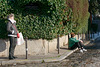 Recharge en vitamine D