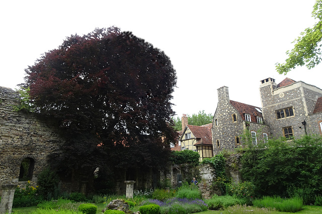 Canterbury Cathedral Grounds