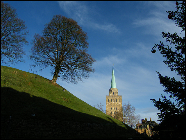 tree on the castle mound