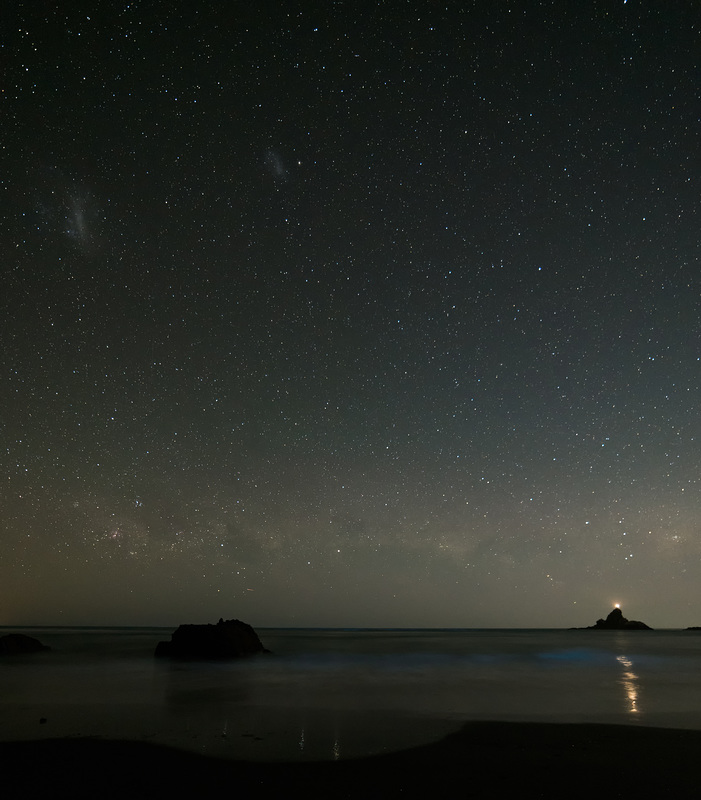 Bioluminescence: blue in the water