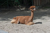 Tierpark Hellabrunn