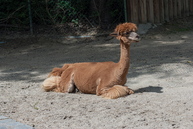 Tierpark Hellabrunn