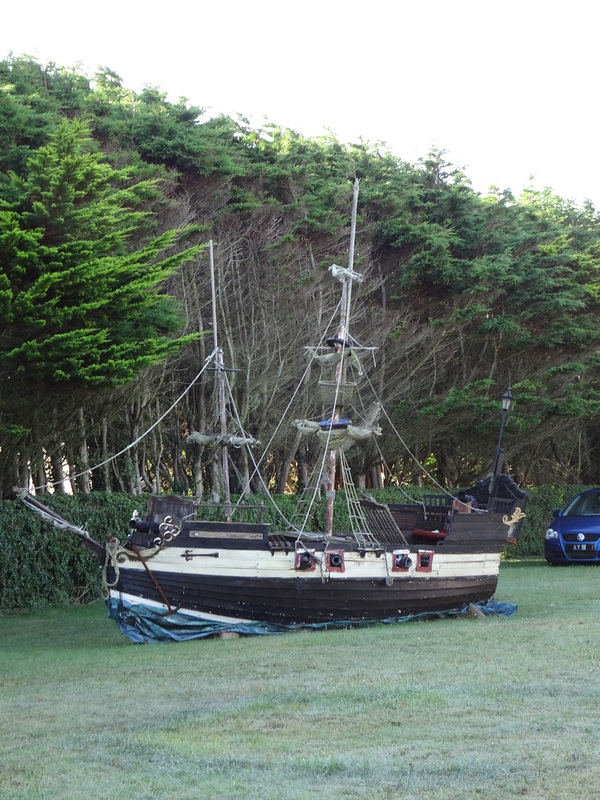aysep2019sv (1154)