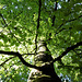 mein Freund im Klimaschutzwald