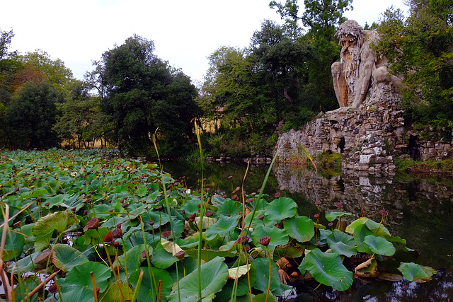 Tuscany 2015 Parco Mediceo di Pratolino 14 Collosso dell Appennino  XPro1