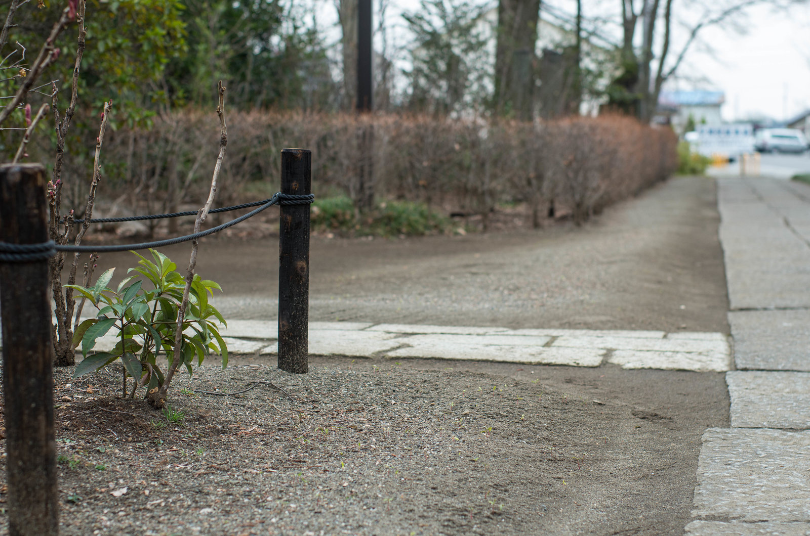 Footpath in the temple ground